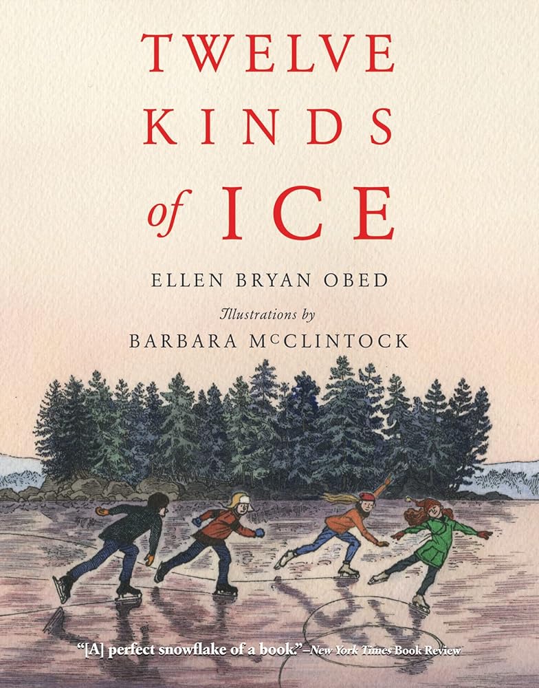 Twelve Kinds of Ice: Great for Holiday and Christmas Reading or Gifting cover image