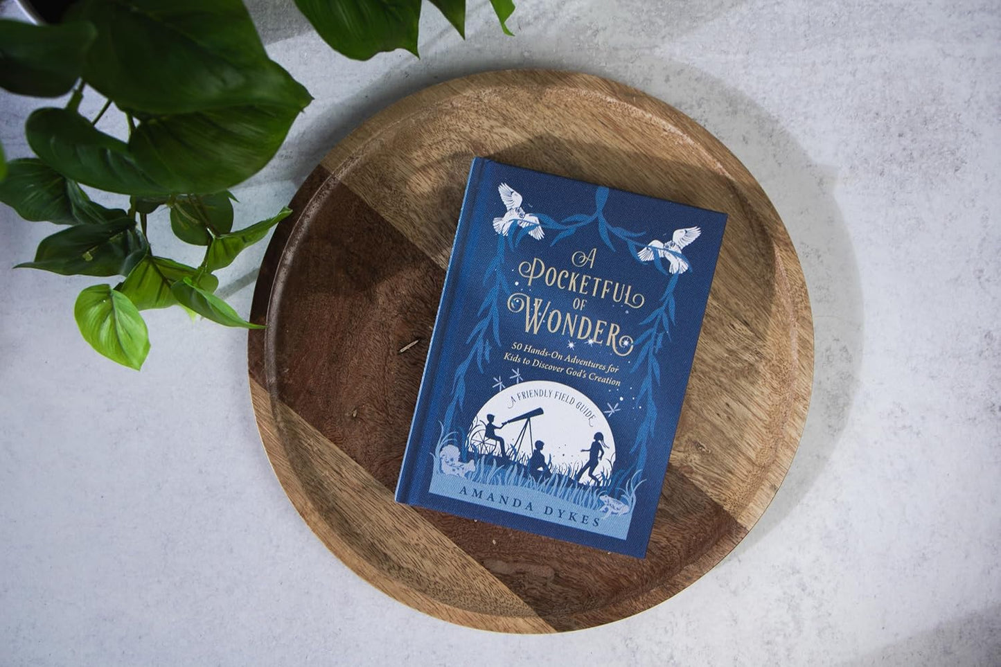 A Pocketful of Wonder