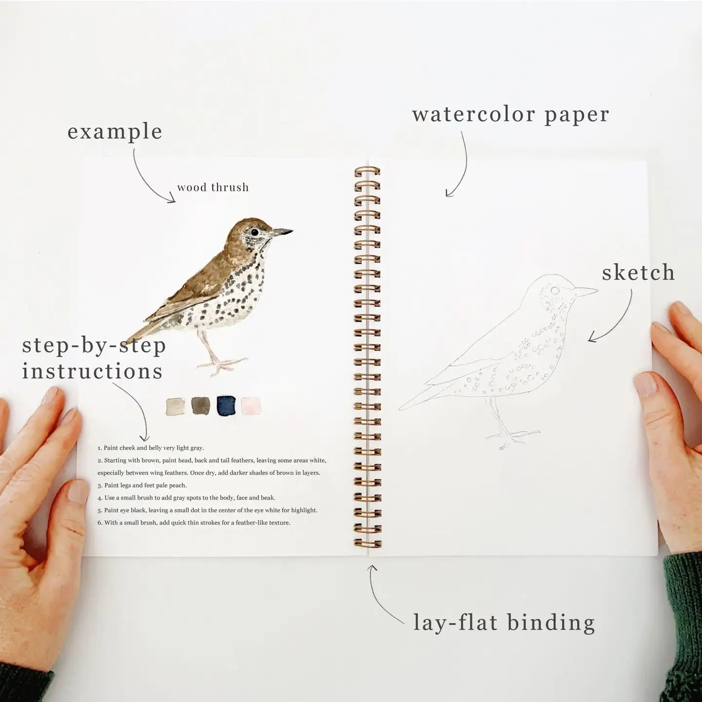 Birds Watercolor Workbook by Emily Lex Studio