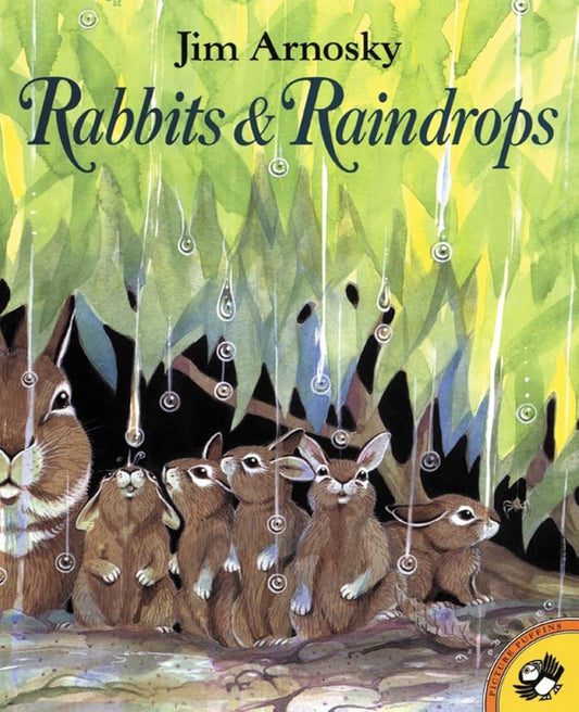 Rabbits and Raindrops (Picture Puffin Books) cover image