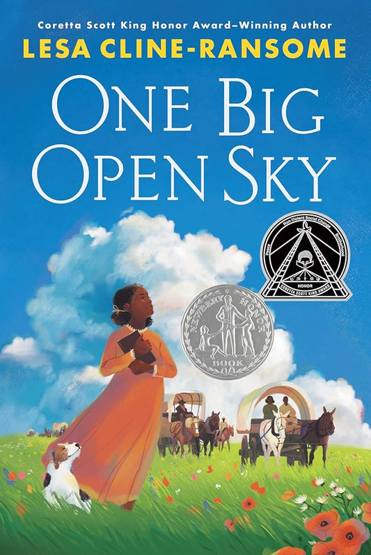 One Big Open Sky cover image