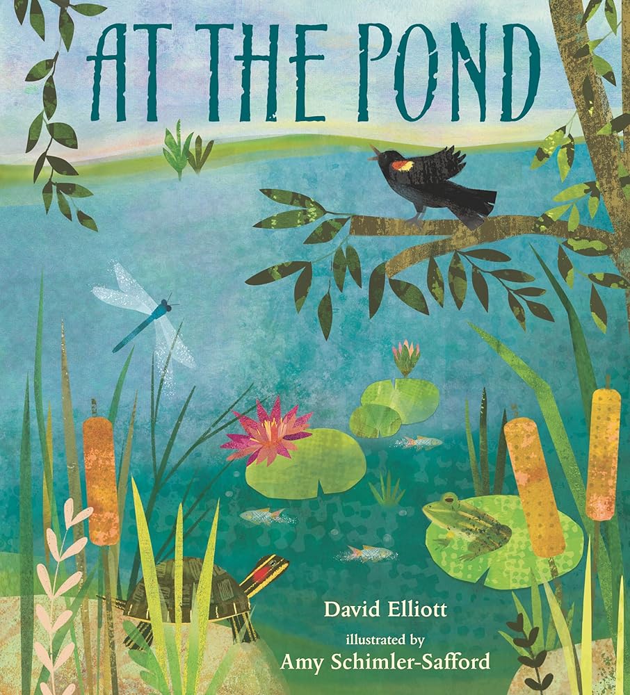 At the Pond (Paws, Fins, Feathers, Claws) cover image