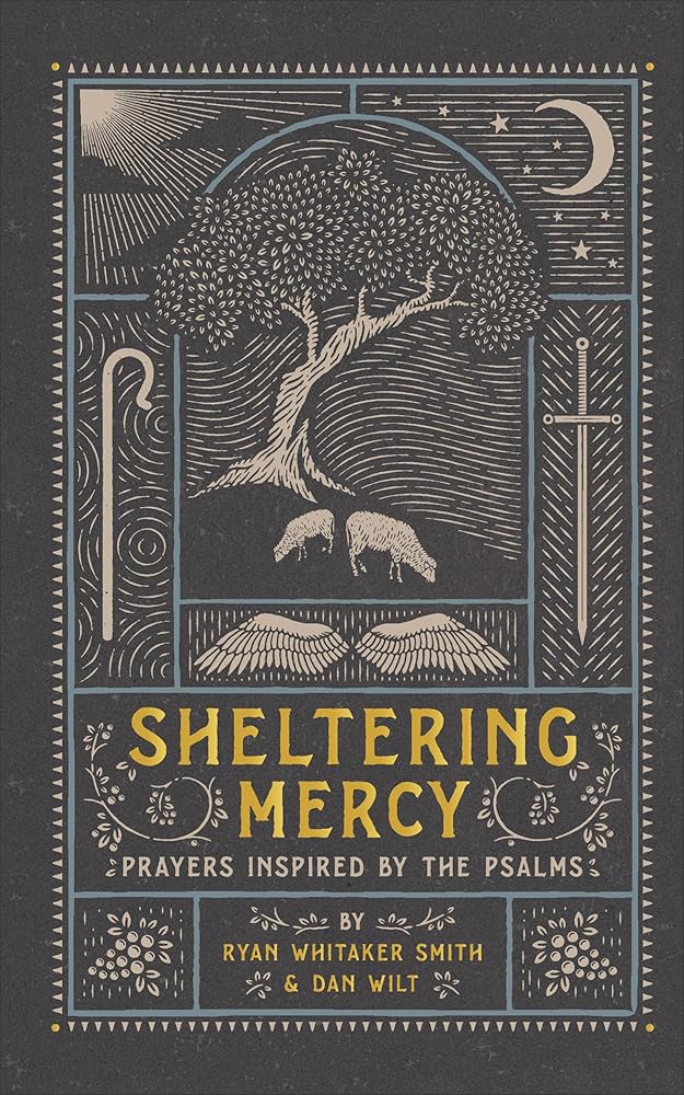 Sheltering Mercy: Prayers Inspired by the Psalms (An Illustrated Devotional Prayer Book with 75 Daily Free-Verse Poetic Prayer Responses - One for Each of the 1st 75 Psalms) cover image