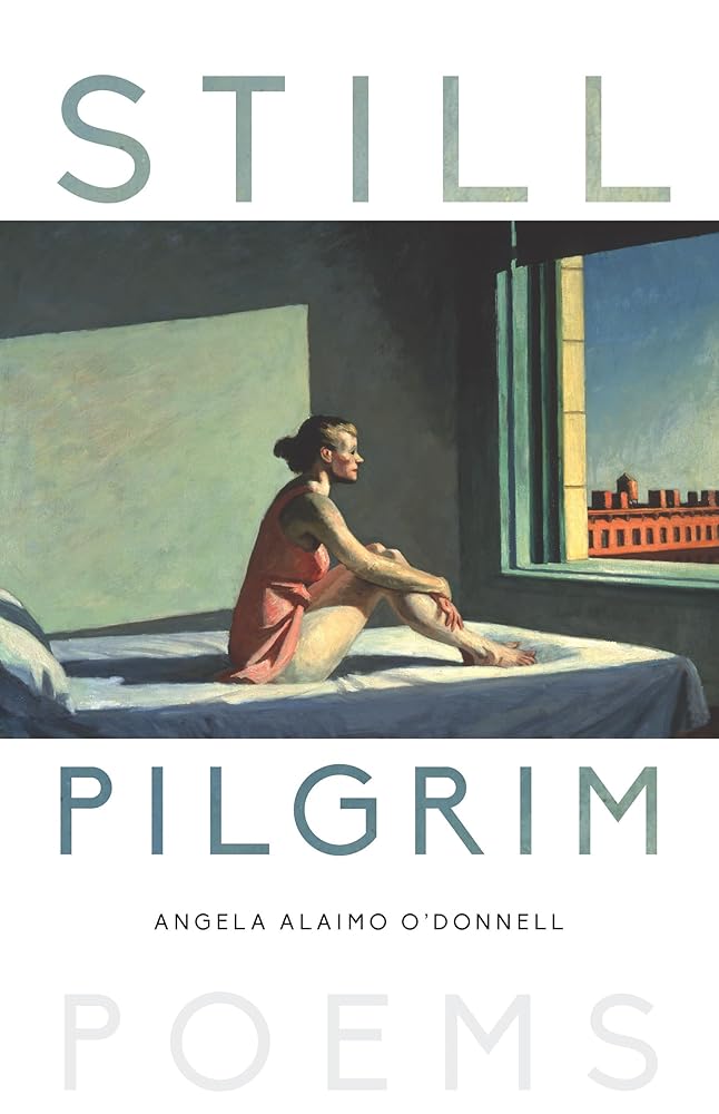 Still Pilgrim: Poems cover image