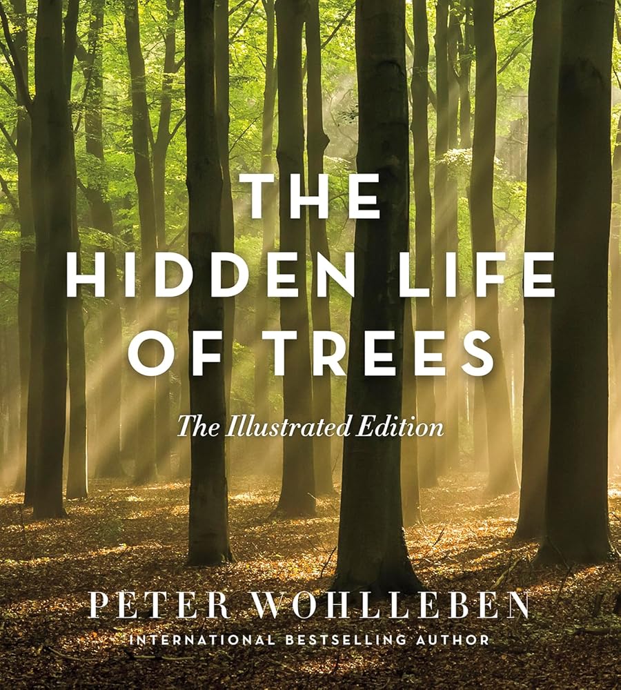 The Hidden Life of Trees: The Illustrated Edition (David Suzuki Institute) cover image