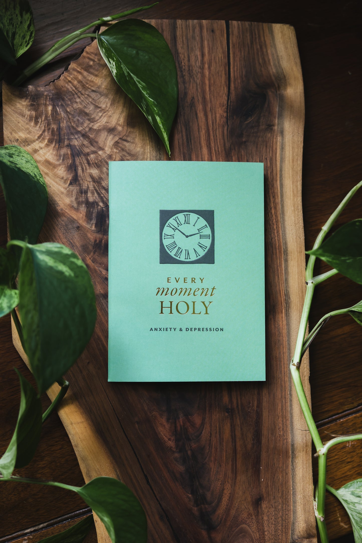 Every Moment Holy Booklet: Anxiety and Depression