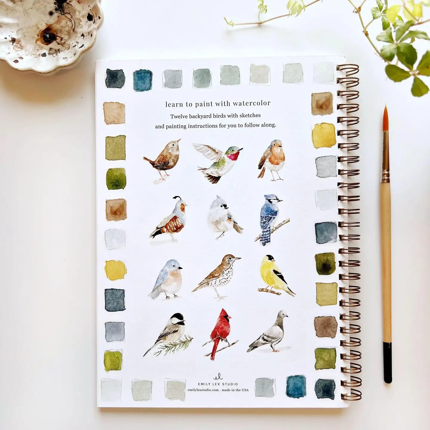 Birds Watercolor Workbook by Emily Lex Studio