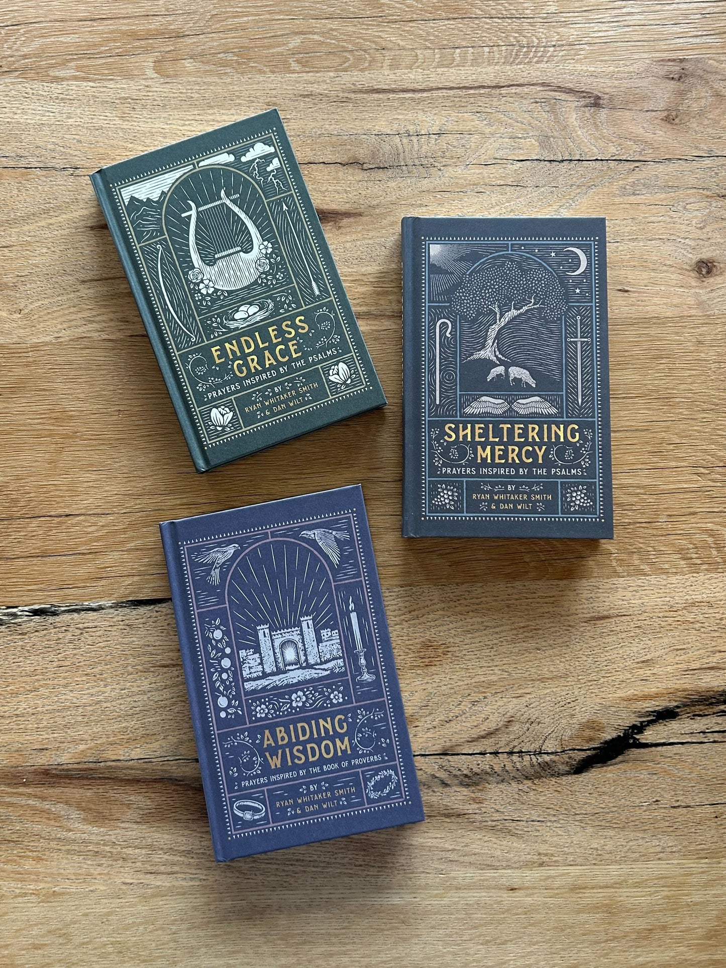 Sheltering Mercy Bundle