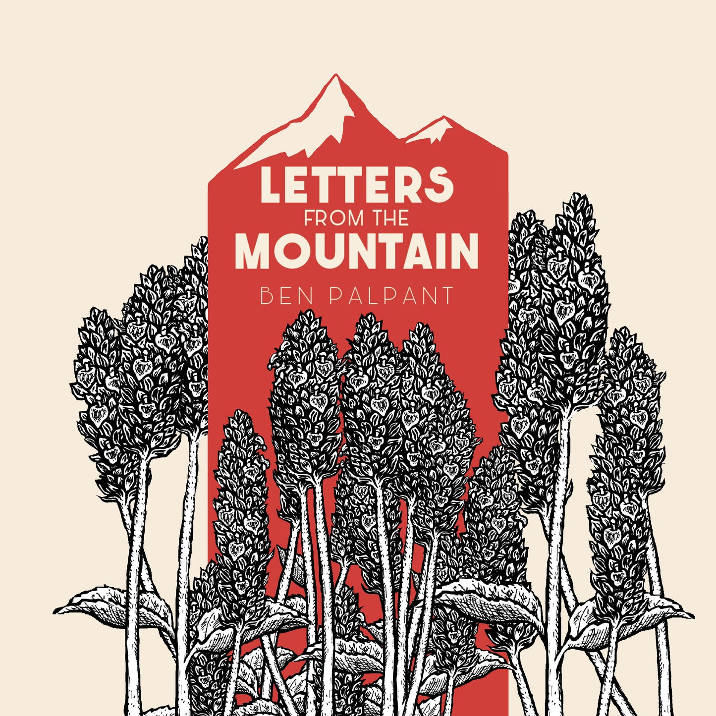 Letters From the Mountain (Audiobook CD)