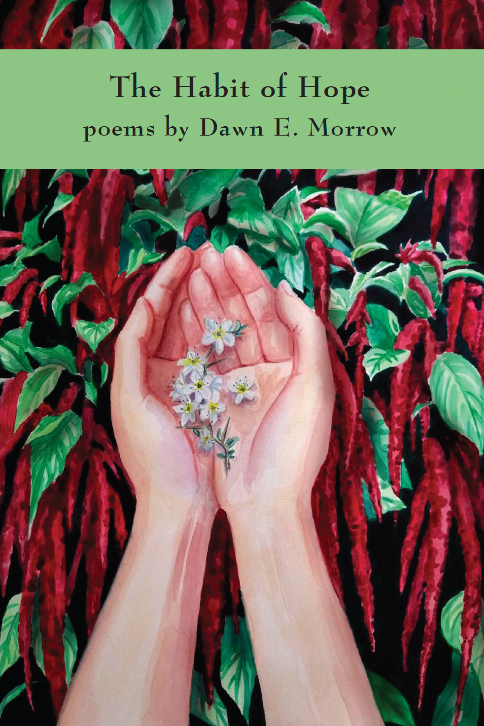 Hope Dawk The Habit of Hope – The Rabbit Room Store